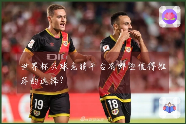世界杯买球竞猜平台有哪些值得推荐的选择？