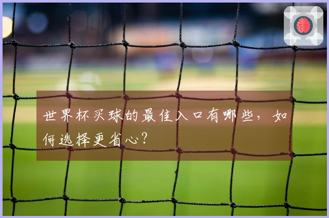 世界杯买球的最佳入口有哪些，如何选择更省心？