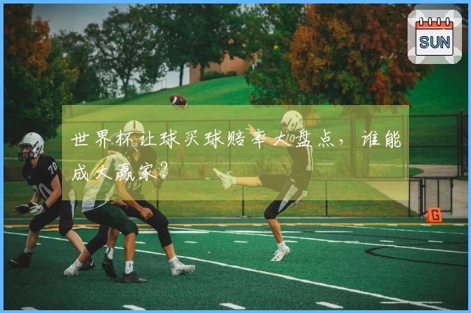 世界杯让球买球赔率大盘点，谁能成大赢家？