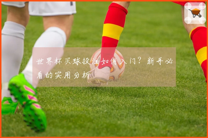 世界杯买球投注如何入门？新手必看的实用分析