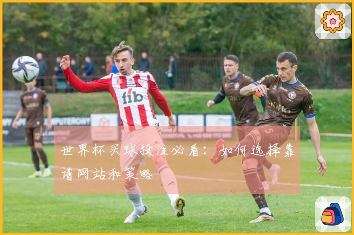 世界杯买球投注必看：如何选择靠谱网站和策略