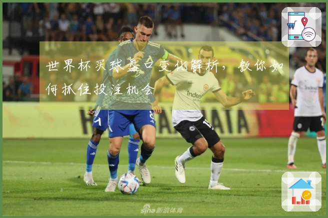 世界杯买球盘口变化解析，教你如何抓住投注机会