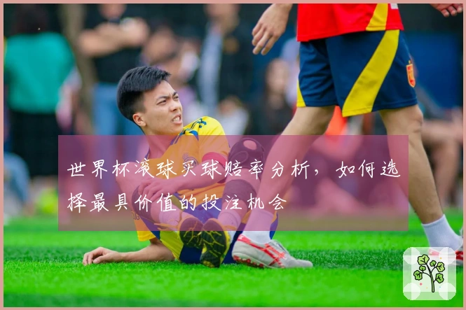 世界杯滚球买球赔率分析，如何选择最具价值的投注机会
