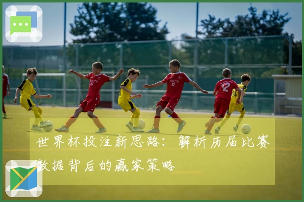 世界杯投注新思路：解析历届比赛数据背后的赢家策略