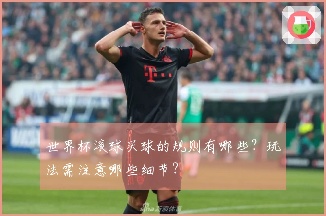 世界杯滚球买球的规则有哪些？玩法需注意哪些细节？