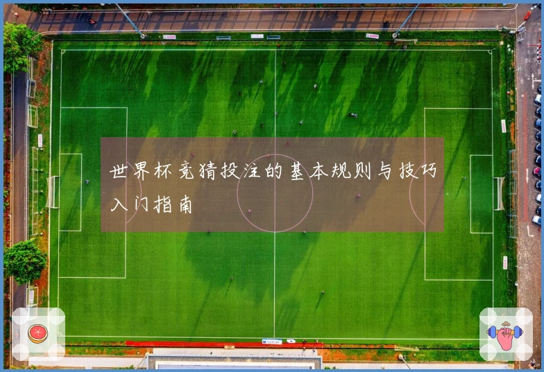 世界杯竞猜投注的基本规则与技巧入门指南