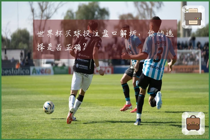 世界杯买球投注盘口解析，你的选择是否正确？