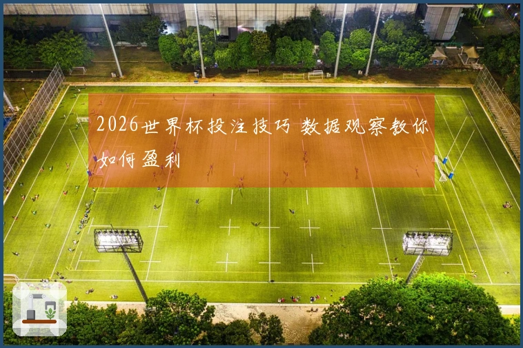 2026世界杯投注技巧 数据观察教你如何盈利